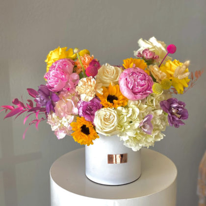 Sunny Blossoms: The Vibrant Flower Box